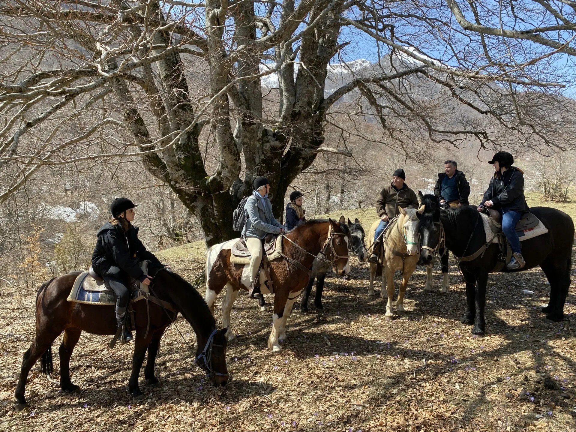 Tramonto tra i vigneti del Chianti